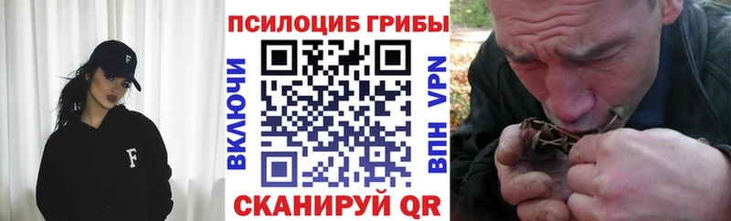 где найти Инта Псилоцибиновые грибы Psilocybine cubensis